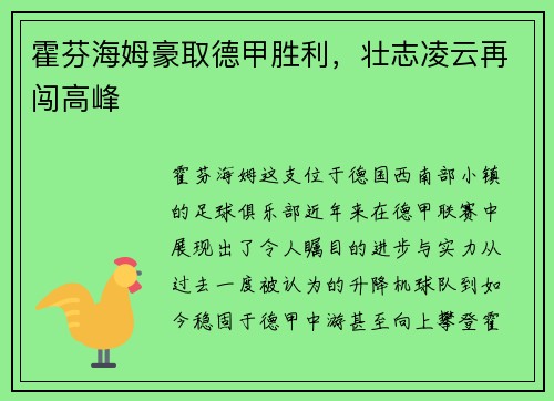 霍芬海姆豪取德甲胜利，壮志凌云再闯高峰